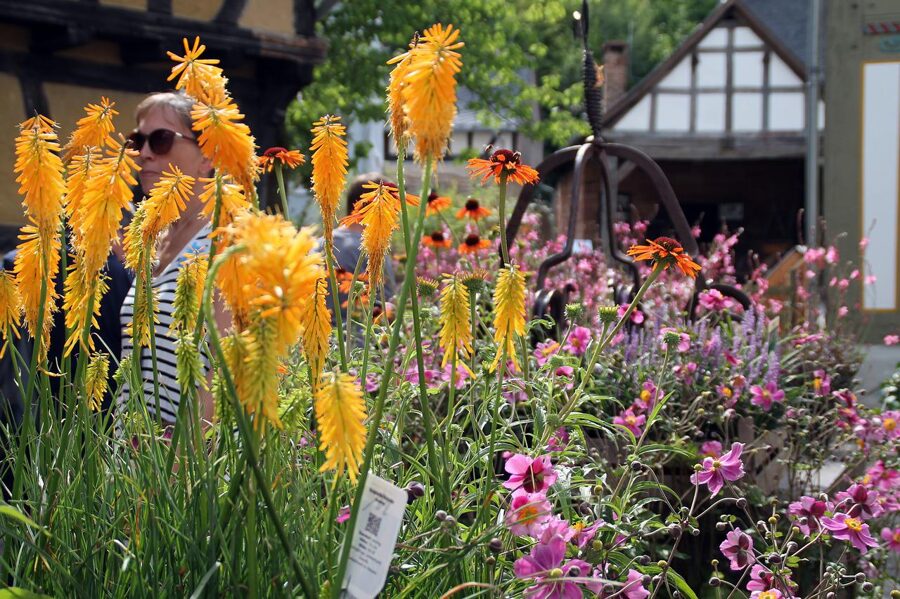 So. 21.09. Herbstmarkt im Hessenpark Neuanspach
