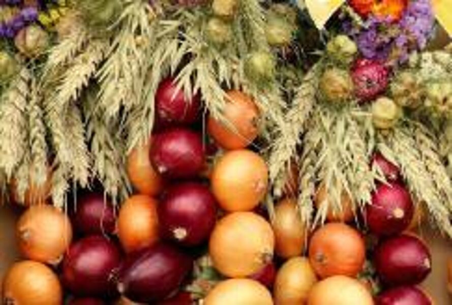 Sa. 11.10. Zwiebelmarkt Weimar