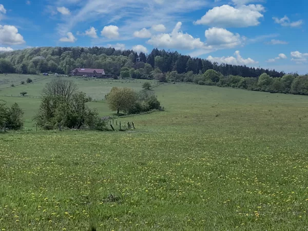 Blick entgegen der Sichelbachanlage: Speisung der Wasserspiele